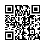 54101-T10-06LF QRCode