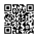 54102-T06-00 QRCode