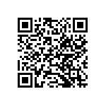 54111-404161200LF QRCode