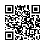 54202-G30-08 QRCode