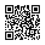 5500404004F QRCode