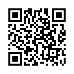 5500404100F QRCode