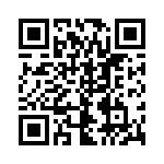 5513009 QRCode