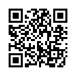 553913-1 QRCode