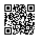 593131313013F QRCode