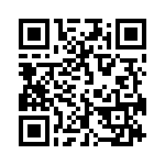 593131313313F QRCode