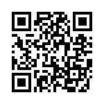 593303030302F QRCode