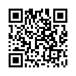 5952501013F QRCode