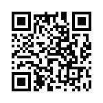 6-1106053-1 QRCode