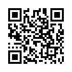 6013R-024 QRCode