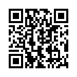 61-168636-06P QRCode