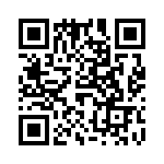 61030011010 QRCode