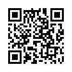 61301411121 QRCode