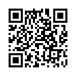 61303221121 QRCode