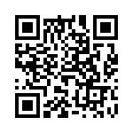 61304421121 QRCode