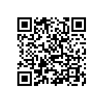 636L3I065M53600 QRCode