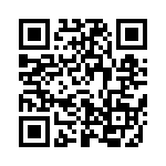 637E133A2I2T QRCode