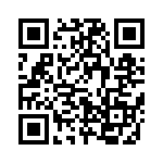 637P16256A3T QRCode