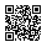 638P16113I3T QRCode