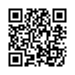 63RS256 QRCode