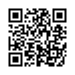 653E13306A3T QRCode