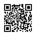 653E5006C2T QRCode