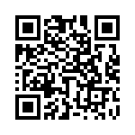 653P16005I2T QRCode