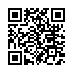 653P17333C2T QRCode