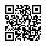 653P17335C2T QRCode