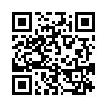 653P17336C3T QRCode