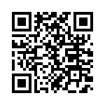 653P17506C2T QRCode