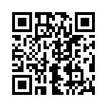 691311700102 QRCode