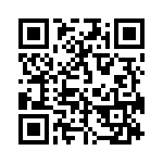 70V5388S133BG QRCode