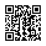 766141334G QRCode