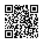 767163393G QRCode