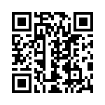 770101333P QRCode