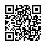 80-190228-12P QRCode