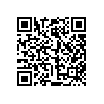 812-22-009-30-004101 QRCode