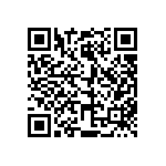 812-22-013-30-004101 QRCode