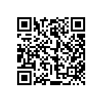 813-22-028-30-001101 QRCode