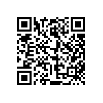 813-22-038-30-000101 QRCode