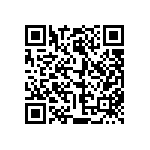 813-22-038-30-001101 QRCode