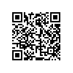 813-22-046-30-004101 QRCode