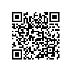 813-22-062-30-001101 QRCode