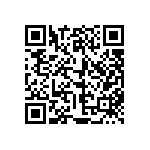 853-87-038-20-001101 QRCode