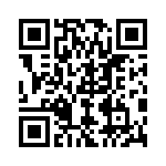 865-03-013 QRCode