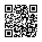 88-256117-10S QRCode