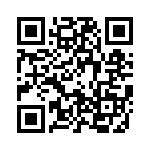 88-534794-19P QRCode