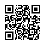 9-1393243-1 QRCode