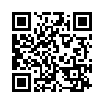 911981 QRCode